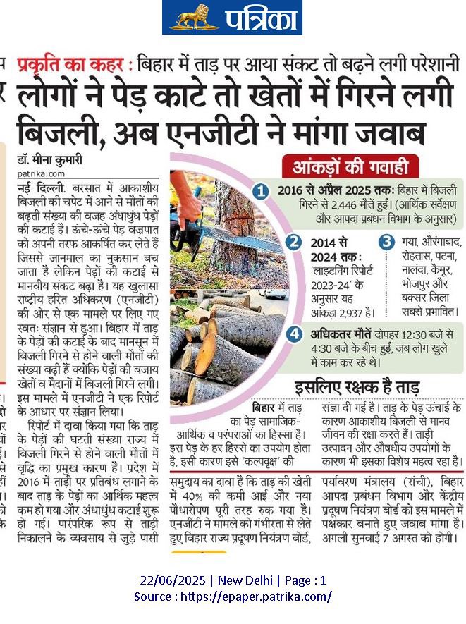 DrMeenaJangid's tweet image. बिहार के देशज ज्ञान में ताड़ को कल्पवृक्ष माना गया है । इस ज्ञान को दरकिनार कर समाज ने ताड़ की अंधाधुंध कटाई की। जिससे मानव जीवन खतरे में, एनजीटी ने मांगा जवाब।एनजीटी की कार्यवाही कहीं न कहीं पारंपरिक ज्ञान पर मोहर है @byadavbjp @NitishKumar #NGT #palmtrees #ताड़ #बिहार #nature