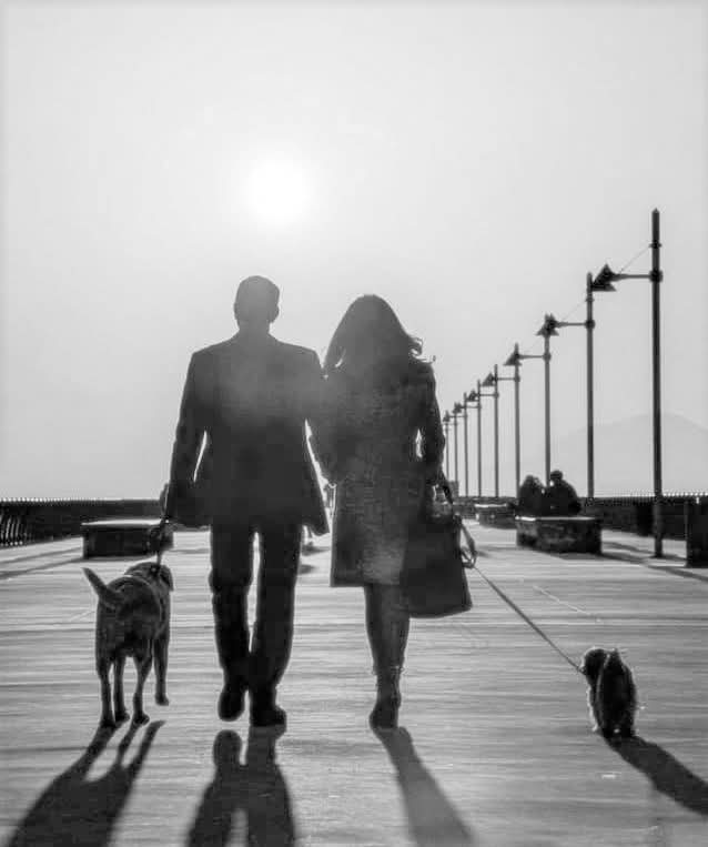 "Con una facilità disarmante si diventa sconosciuti."

#InUnTweet a #CasaLettori