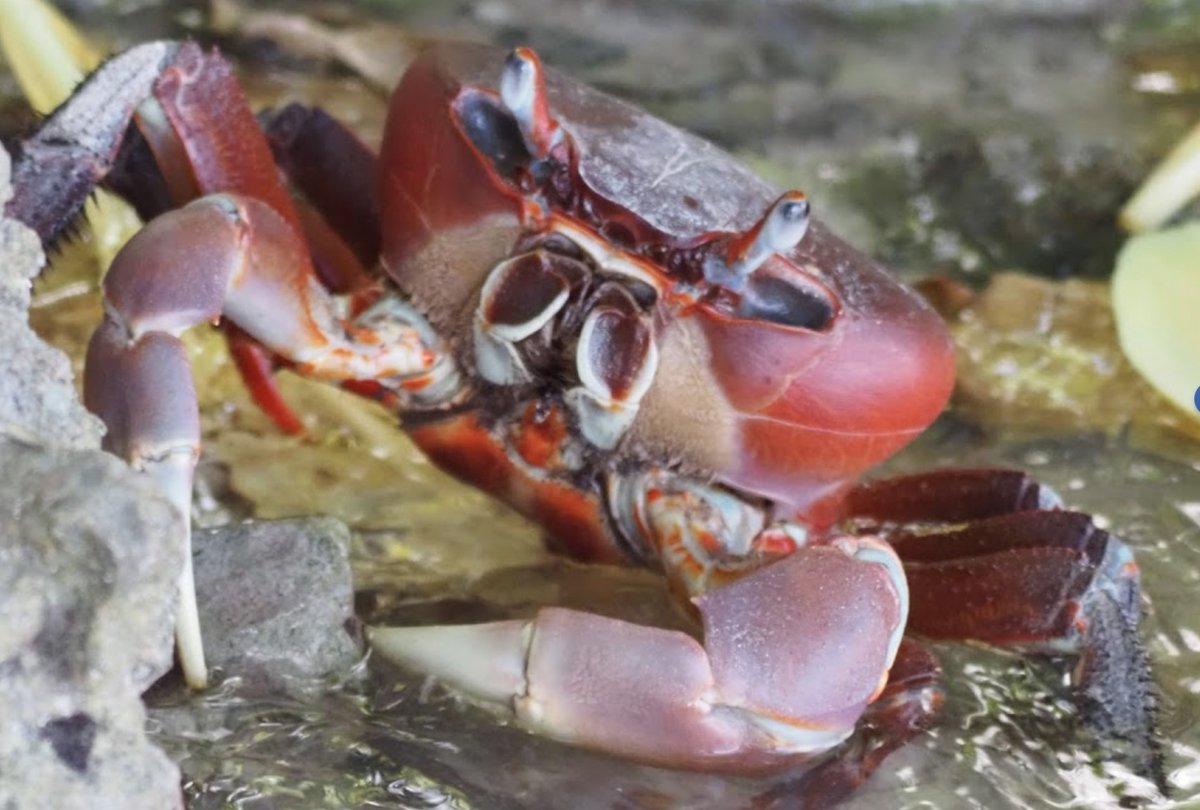 Diego Garcia, Air base, B-2 stealth bombers, 3,700km from Iran but within the B-2's operational range.