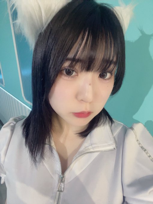 わがはいはねこであるのツイート
