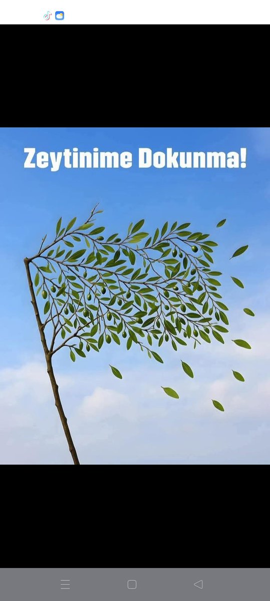 Hasan Sakarıya (@hasansakar2745) on Twitter photo 