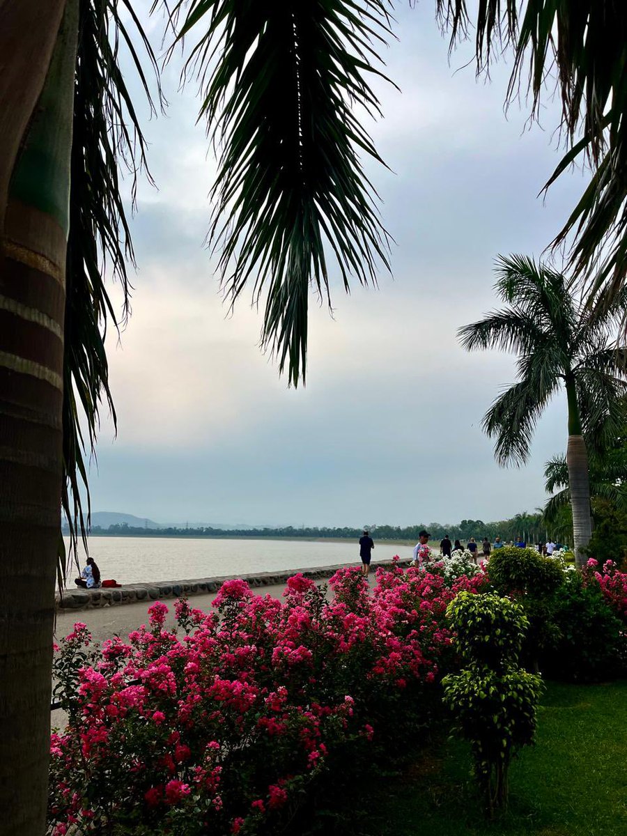 Chandigarh Sukhna Lake Clicks today morning! So beautiful!!
#citybeautiful #Chandigarh #NatureLover #NatureBeauty