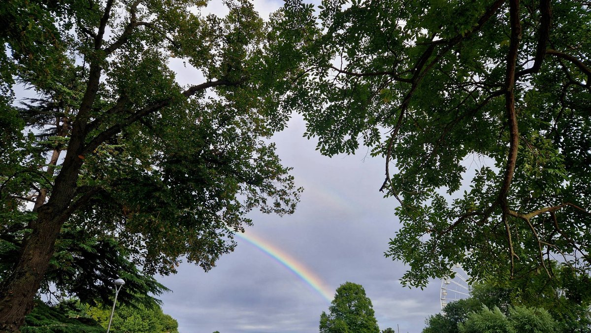 <a href="/DailyPicTheme2/">Daily Picture Theme</a> Today's theme is varicoloured.

<a href="/DailyPicTheme2/">Daily Picture Theme</a>