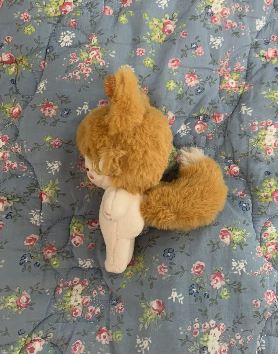 nishnyan's tweet image. #솜인덕장터
이브이 속성 10cm 양도 판매 합니다.
25,000원 (운송비 제외)
플레이 x
꼬리 자석 강합니다.
gs반택(2000) 우체국 택배(4000) 가능합니다!
바이오의 오카로 연락주시면 빠릅니다.