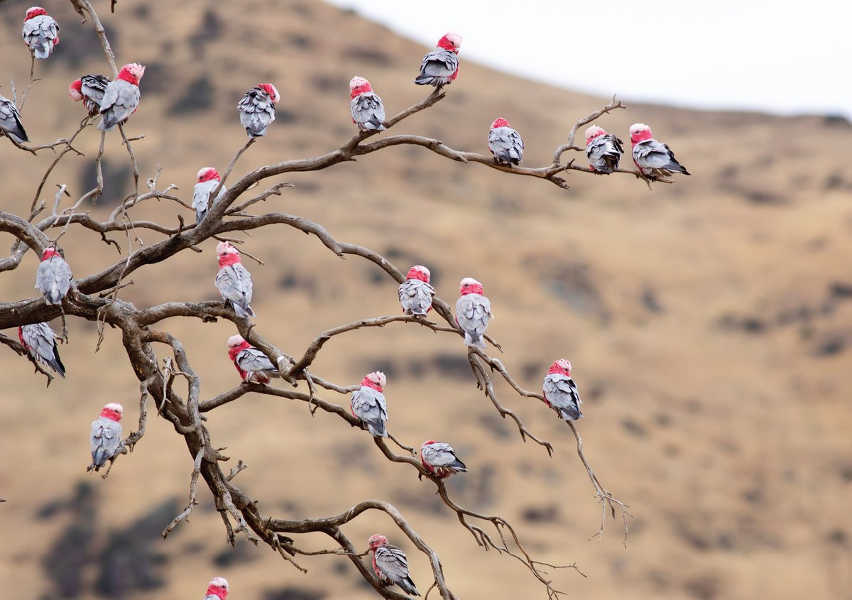 Sandy Horne tweet media