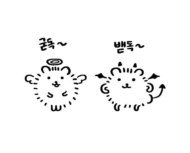 천사묘악마묘 