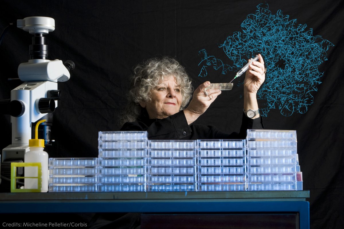 "I am, and always have been, passionately curious," says chemistry laureate Ada Yonath.

How do we encourage the next generation to study science? "By respecting their curiosity," she says.

Learn more about Yonath: bit.ly/4kJscDU