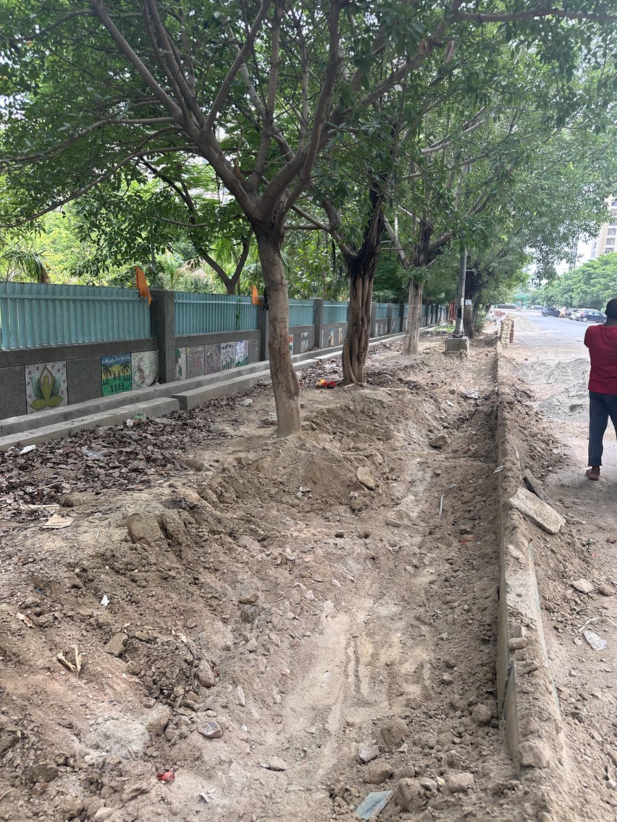 Vishnu Prasad saini (@vishnupsaini) on Twitter photo <a href="/CeoNoida/">CEO, NOIDA Authority</a> <a href="/noida_authority/">NOIDA Authority</a> <a href="/rockme26/">Mango Man *Amiit Gupta*</a>
These and many other trees in sector 137 (at Gate 04 ecociti) are soon disappearing as the soil is removed from roots to place the tiles around them.
It took years to grow and now these trees are left to die <a href="/CeoNoida/">CEO, NOIDA Authority</a> <a href="/noida_authority/">NOIDA Authority</a> <a href="/rockme26/">Mango Man *Amiit Gupta*</a>
These and many other trees in sector 137 (at Gate 04 ecociti) are soon disappearing as the soil is removed from roots to place the tiles around them.
It took years to grow and now these trees are left to die