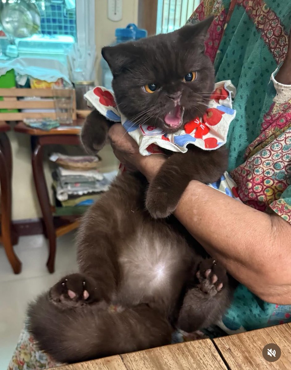 ถ่ายไม่ทัน แต่หน้าแบบนิ