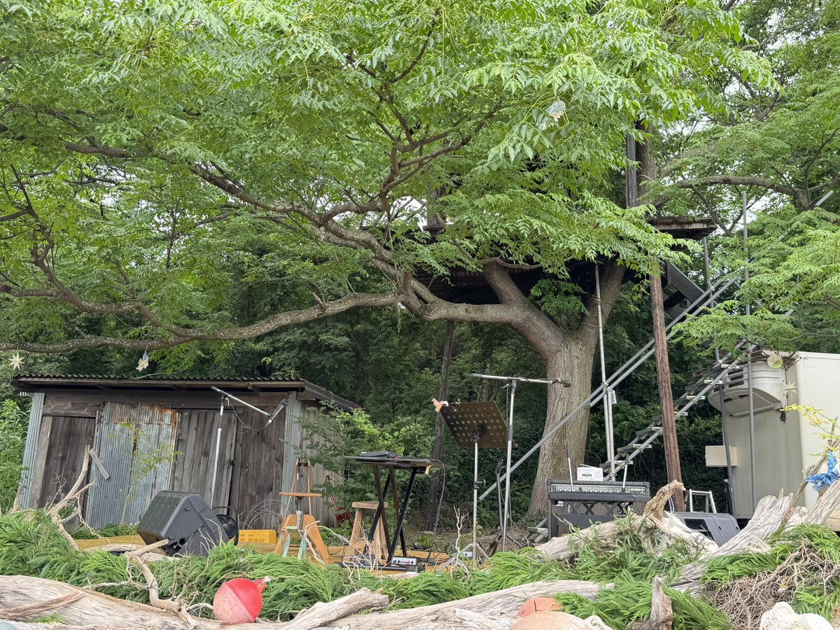 TouchanRec's tweet photo. 出雲nuuammのライブ、とても良かった。ブドウ農園の中、大木の下にステージ、その上にツリーハウス。砂地の畑に皆で座る。ステージの奥、つづく森の向こうは多分海。蒸し暑かったが、曇りで直射日光が当たらなかったのは幸いだった。軽トラ荷台にサングラスとトラメガで武装した二人が登場。スーパーの特売放送の様なアナウンスをするマヒトゥ・ザ・ピーポー、スーパーのBGMをハミングする青葉市子。笑いと歓声に包まれステージへ。

セットリスト
1.さっぴー
2.turn light
3.飛行石
4.天使　〜
5.Pupa
6.EDEN
7.full of fool
8.MAHO
9.ピカリのヒビ

<休憩:餅つきなど>  

10.待夢(no PA: マヒトは箒をエアギターに。後方から客席の間を通って)
11.なつばくだんふゆだるま
12.Vampire
13.月の丘
14.海辺の葬列
15.蛍(ほたる？新曲)
16.スダジイの森
17.ゆうさり
18.めのう
<アンコール:ツリーハウスの上で>
19.MU-MIN
<ツリーハウスから餅まき>