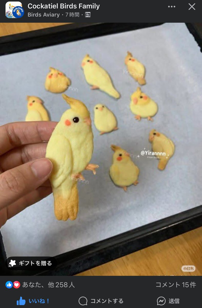 Facebookで流れてきたのですが、これは素敵😊

#オカメインコ
#cockatiel