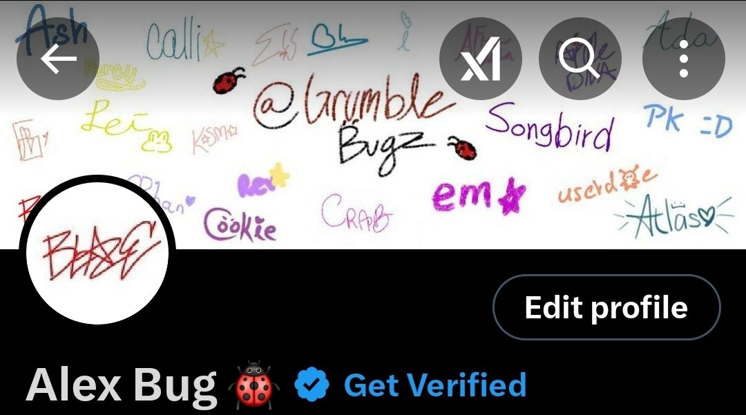 Alex Bug 🐞 tweet media