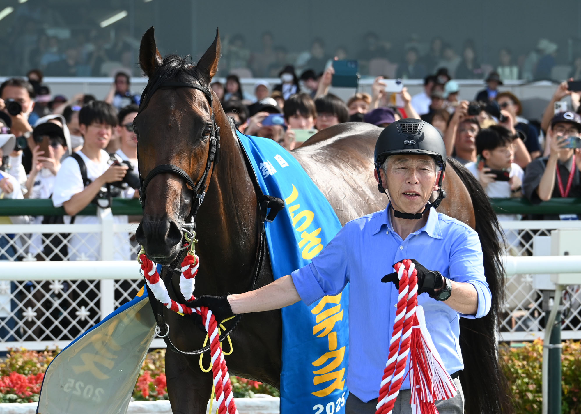 【値下げ】競馬　JRA 騎手　調教師　坂井瑠星　矢作芳人　騎手サイン色紙 値下げ】競馬 JRA 騎手 調教師 坂井瑠星 矢作芳人 騎手サイン