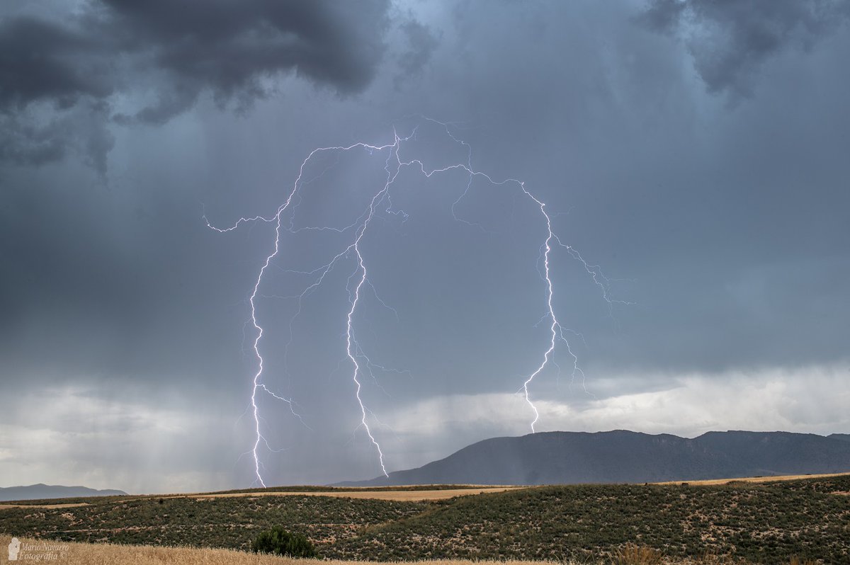 Mario Navarro tweet media