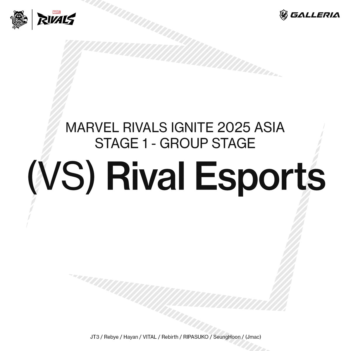 Crazy Raccoon tweet media