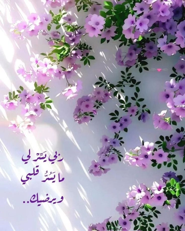 الذيب (@altheeb_) on Twitter photo 