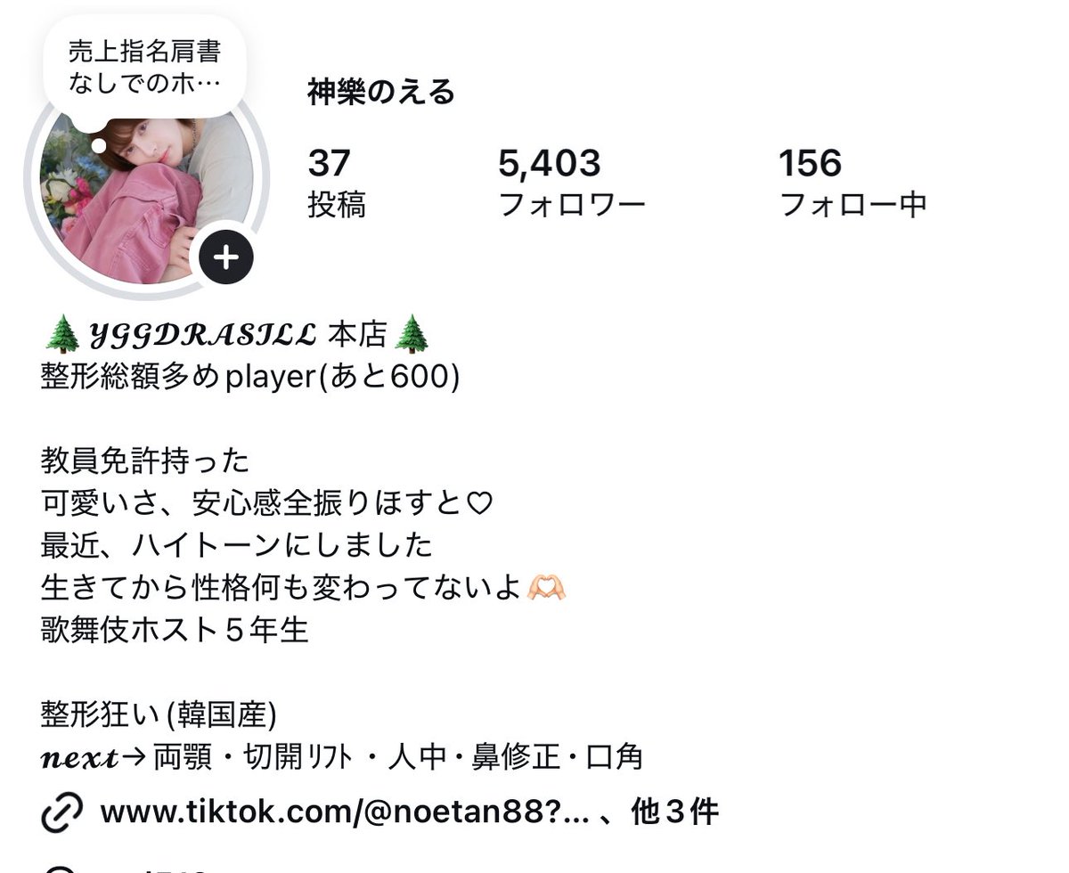 神樂のえる(Noel) tweet media