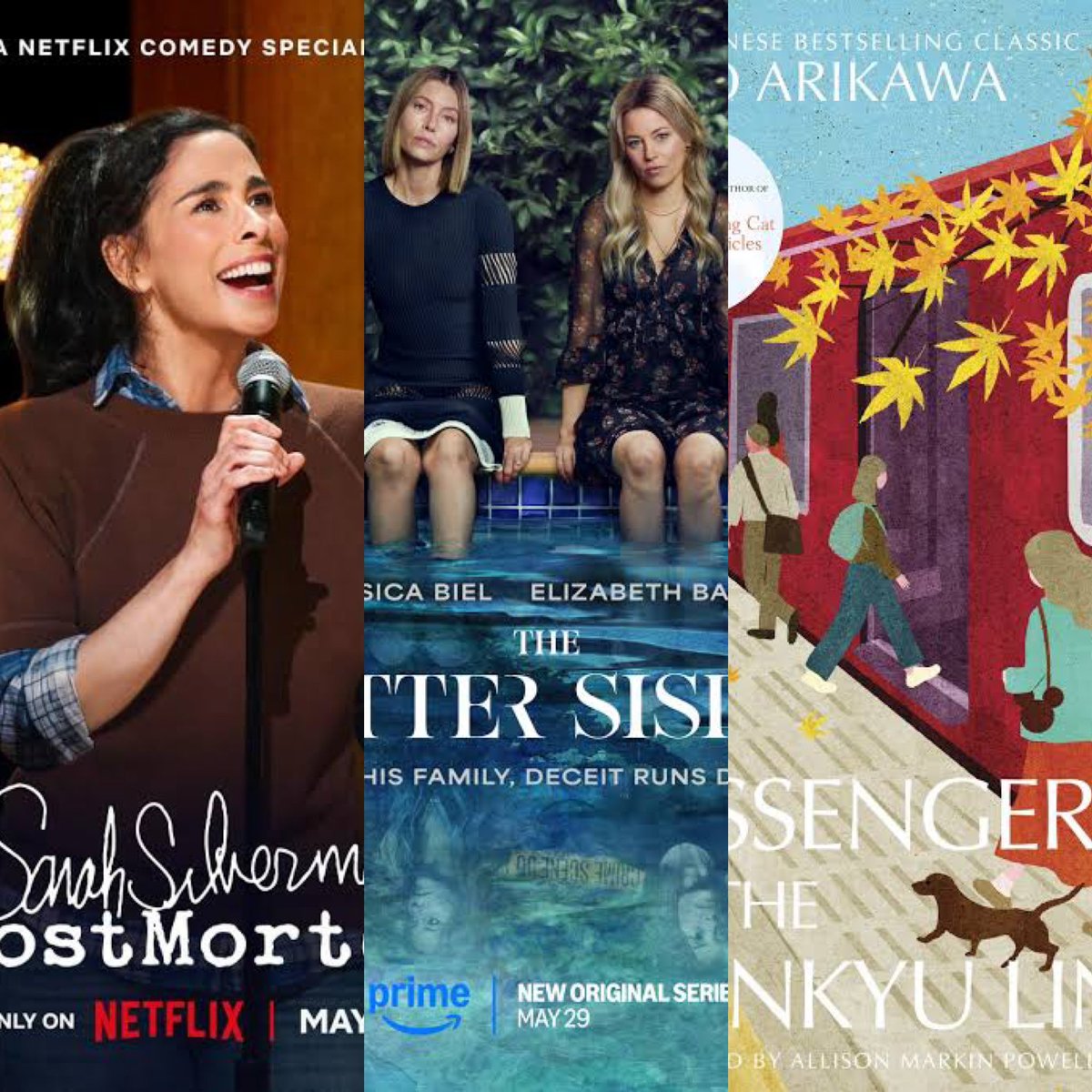 Lia and Steph have been #reading! And watching. On the list today we review the cosy #Japanese novel The Passengers on the Hankyu Line, #SarahSilverman: PostMortem and #TheBetterSister #bookreview #podcast tinyurl.com/bxynet62