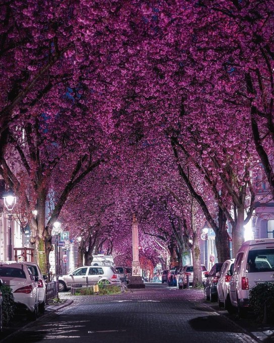 Photography by Basel.Shehada