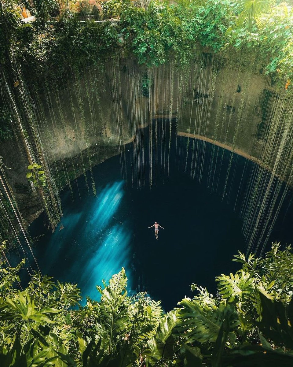 earthcurated's tweet photo. Cenote Ik Kil, Tulum ✨ https://t.co/FVlRjwwqTS