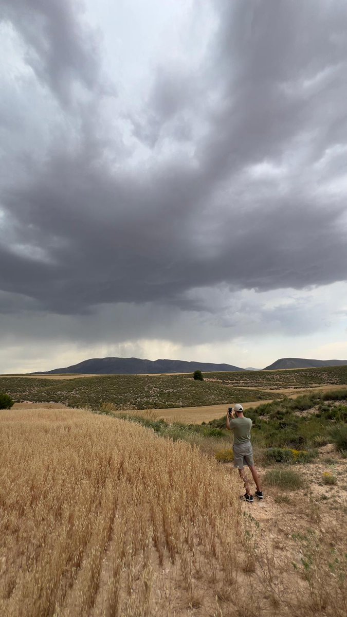 Jose David tweet media