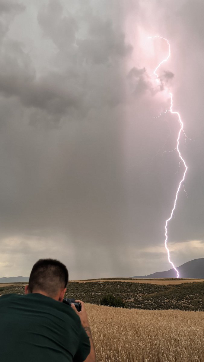 Jose David tweet media