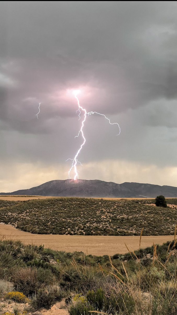 Jose David tweet media