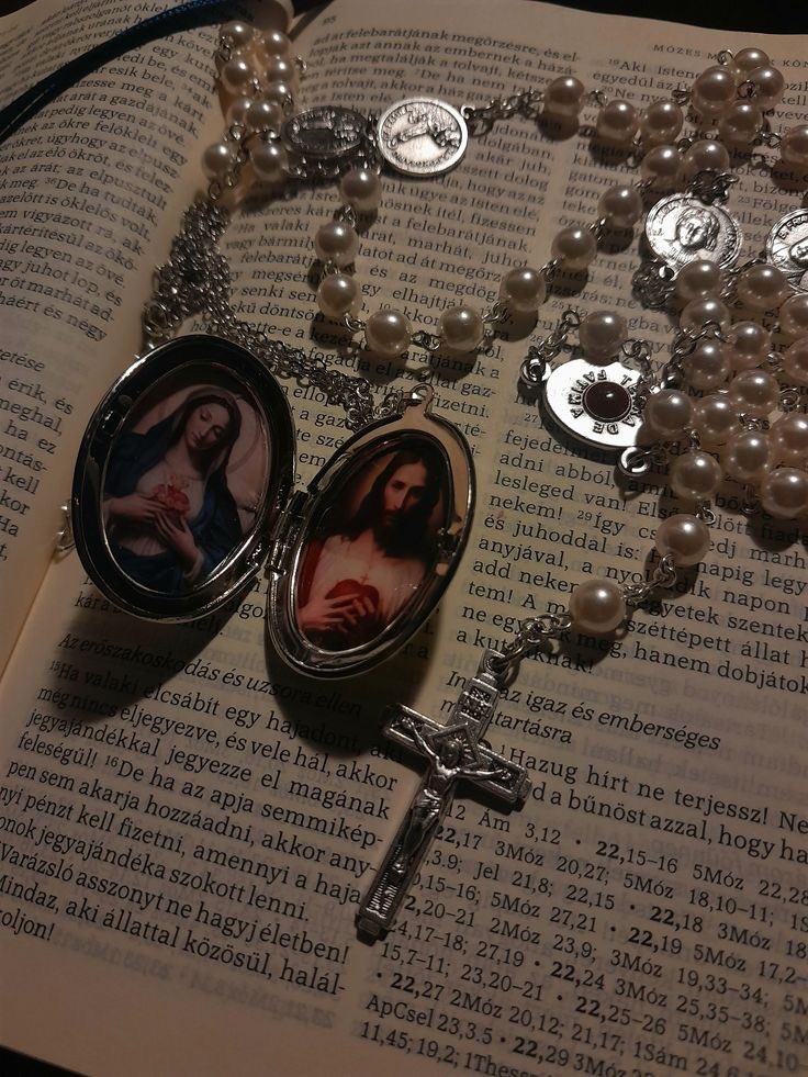 sAgnieszkaP's tweet image. #czerwiec  #LitaniadoNSPJ
Serce Jezusa, przebłaganie za grzechy nasze, zmiłuj się nad nami.