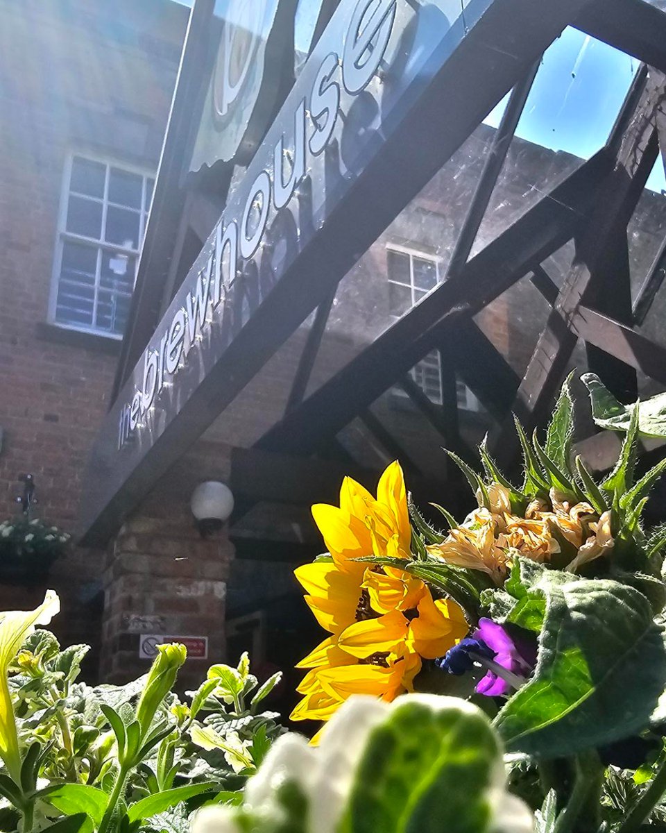 The Brewhouse is now closed for the weekend, but don’t worry our website is open 24/7 for all your show bookings!

🎟️ orlo.uk/yA49g

If you’d like to speak to the team in person, we’ll be back from 9am on Monday.