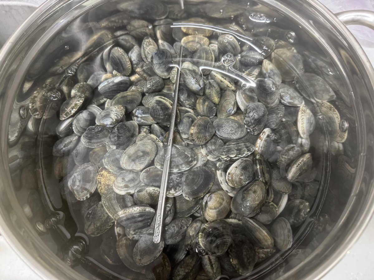 Gmonad💜

Today, my Monad friend <a href="/Chloe_lxxlxx/">Chloe (evm/acc) || Monad</a> shared some clams with me. 

Thank you <a href="/Chloe_lxxlxx/">Chloe (evm/acc) || Monad</a> for always doing good deeds.

Monad is my everyday life. 

<a href="/monad_xyz/">Monad ⨀</a>  <a href="/koreanads/">Koreanads 🇰🇷 (evm/acc) ⨀</a>