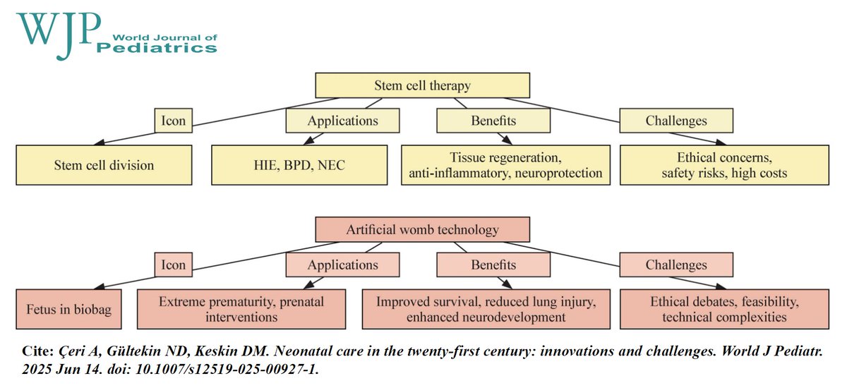 World_J_Pediatr's tweet image. Stem cells, artificial wombs, and telehealth hold transformative promise for advancing neonatal care and improving outcomes for vulnerable newborns.
#Meded #SoMe4PedSurg #Pediatrics #PublicHealth #NeonatalCare #StemCellTherapy #ArtificialWomb #Telehealth
link.springer.com/article/10.100…