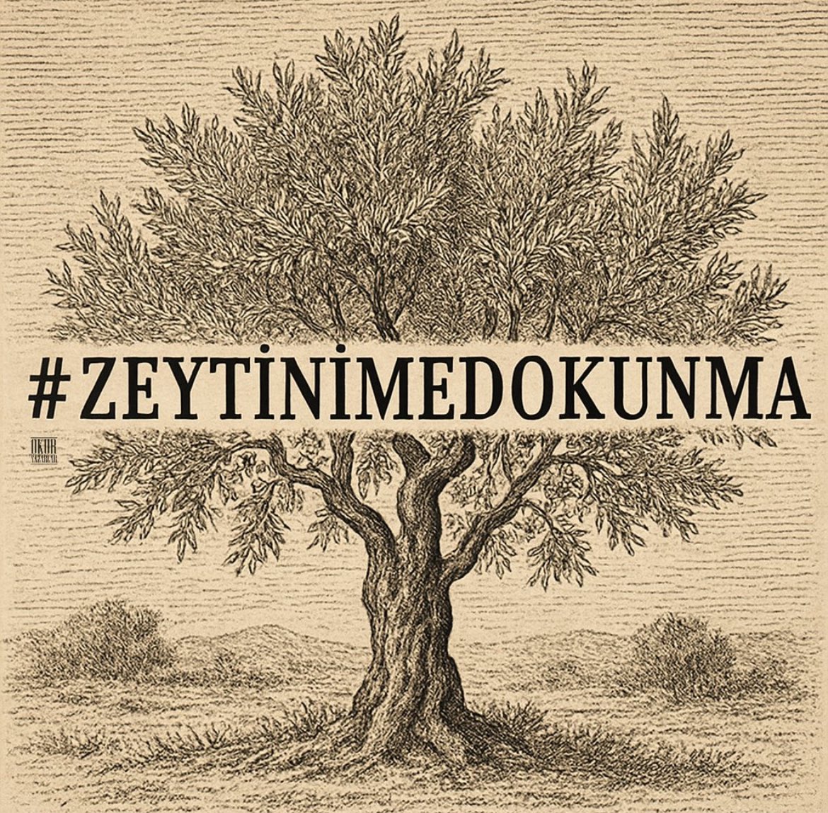 #zeytinimedokunma