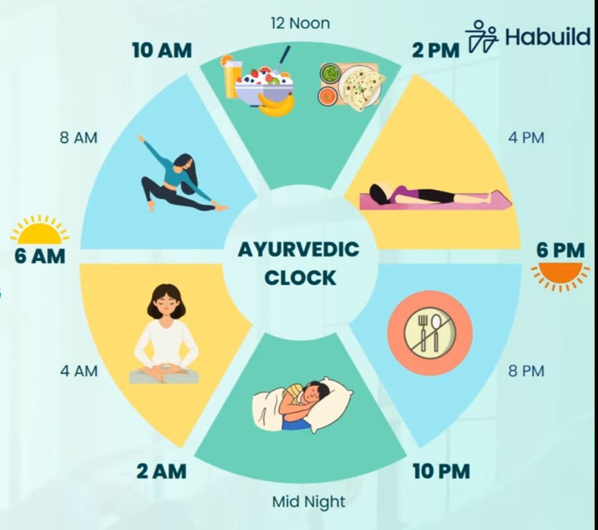 rjvickysdubai's tweet image. #habuild