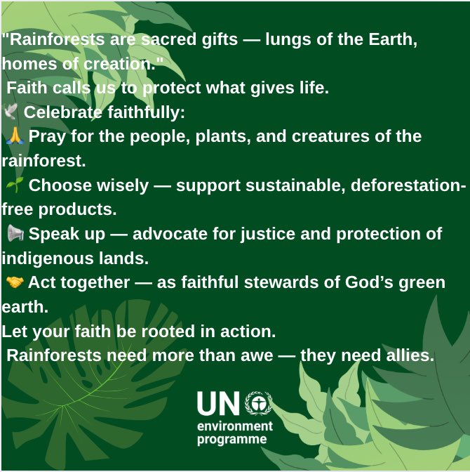 Rainforests are sacred. 🌿
They breathe life into the Earth and shelter creation.

🙏 Pray for the forests.
🛍️ Buy responsibly.
📢 Speak out for justice.

Faith calls us to protect what gives life.
#WorldRainforestDay #Faith4Earth #SacredForests #StewardsOfCreation