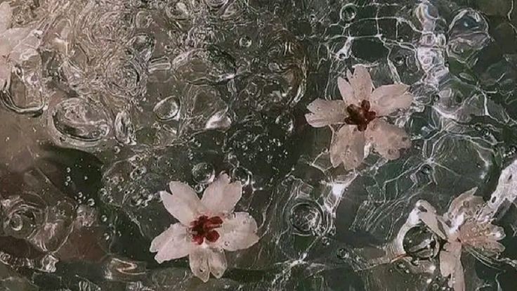 Abel ❣︎ tweet media