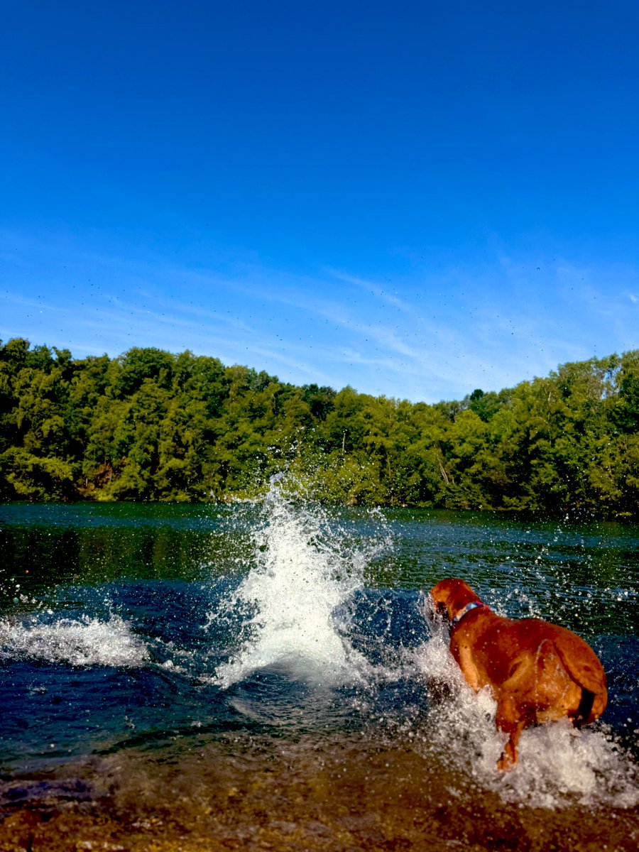 Früh wandern und im See abkühlen Beste bevor der Planet heut brennt 🙈🥵