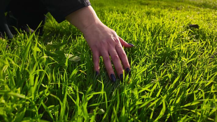 peterkarate1's tweet photo. #openseatouchgrass https://t.co/LcVJivL3q0