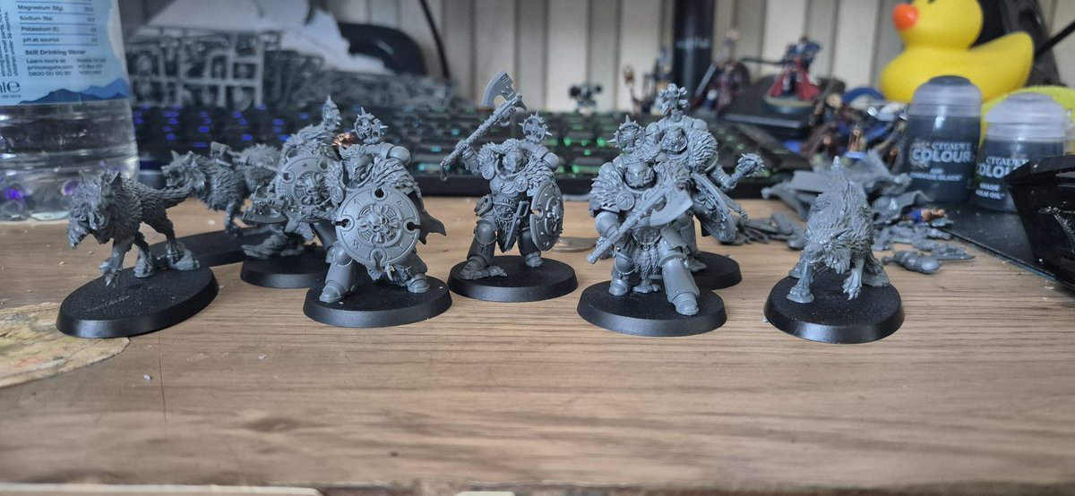 Hey, nerd friends, so with 76 days before I move, I'm starting work on a new army. Some of you might remember my wolf successors, the shield wolves. Well, this project will be replacing them. Introducing The Carrion Hunters. The plan is to get the box finished before the move