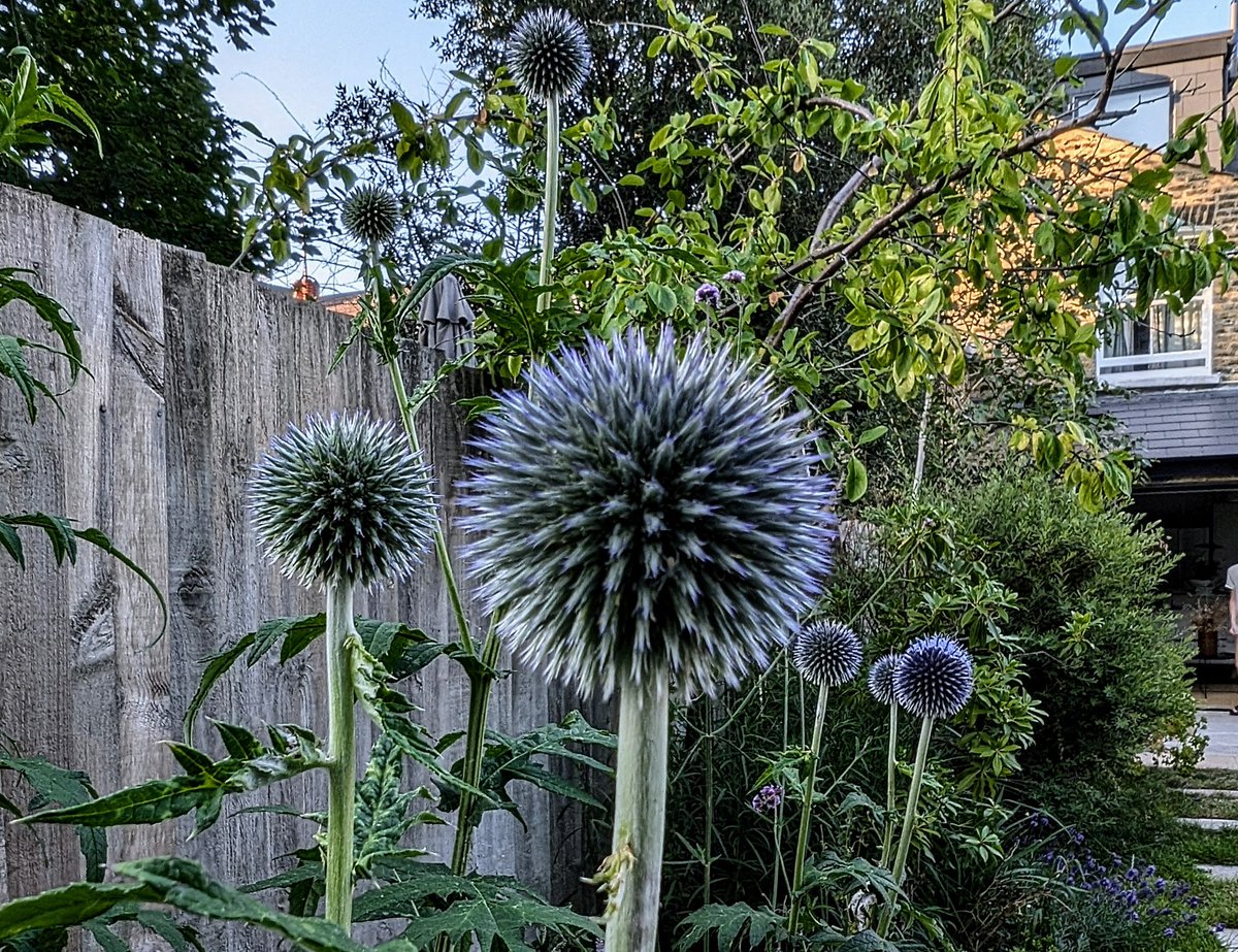 New Sounds Like a Poet

Catching up on some recent gems

Any other #TheoBleak fans on here? 

Saw her supporting <a href="/ettamarcus/">etta marcus</a> last year and her newish EP 'Bad Luck Is Two Yellow Flowers' is great

NSOL#203 from it is Said Like a Poet

open.spotify.com/track/0amwbloK…