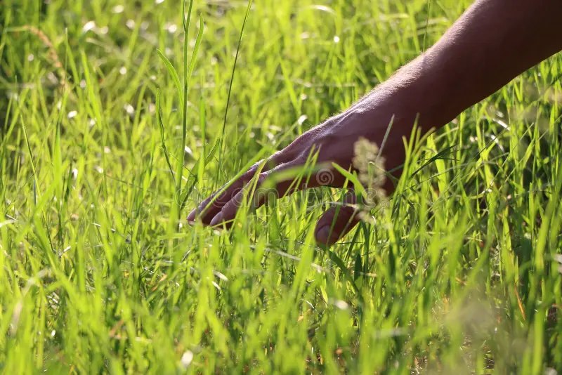 #openseatouchgrass