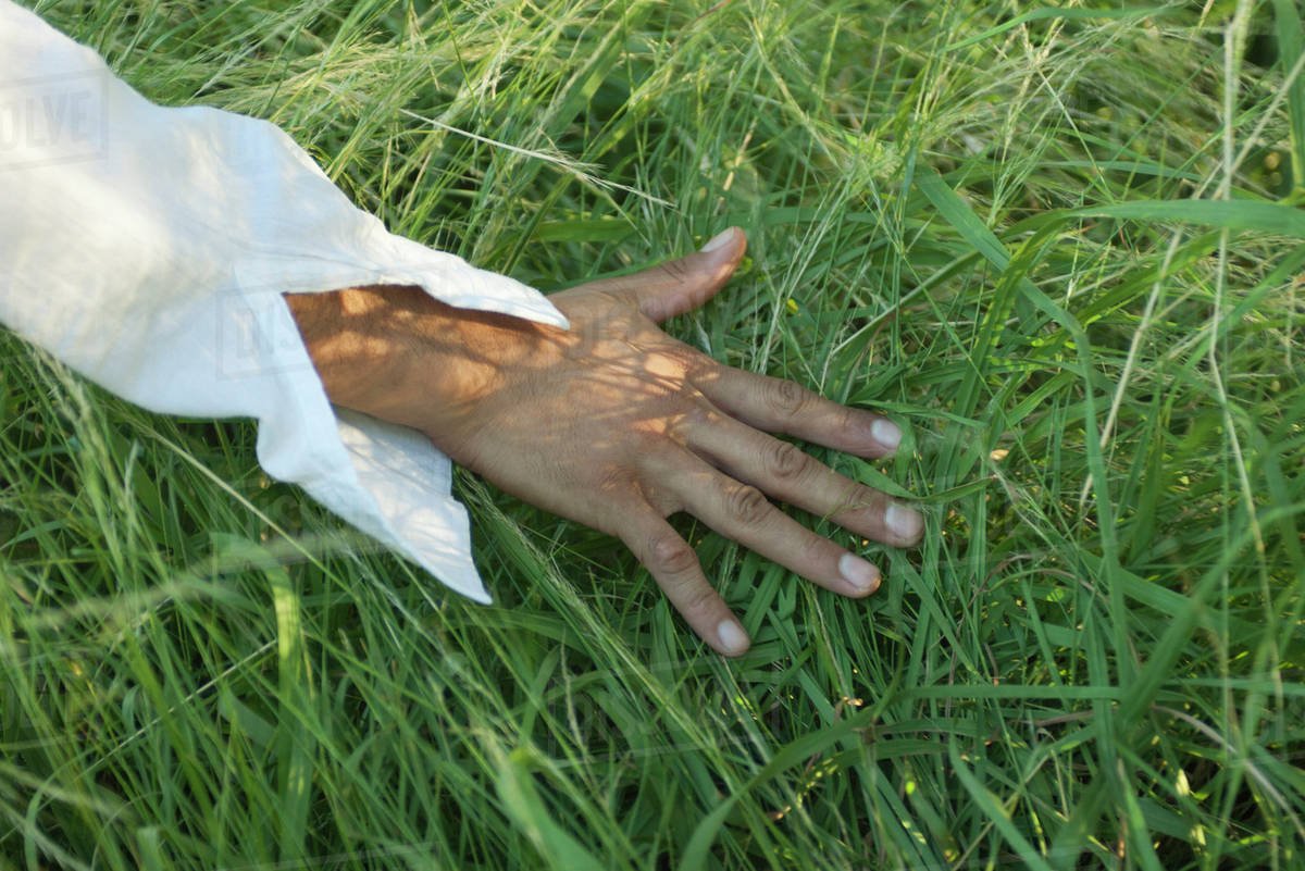#openseatouchgrass