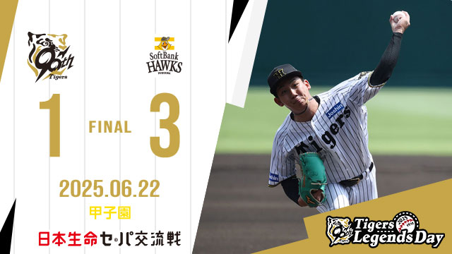 みーちゃん様専用 阪神タイガース ニッカポッカ サイズL 虎 猛虎