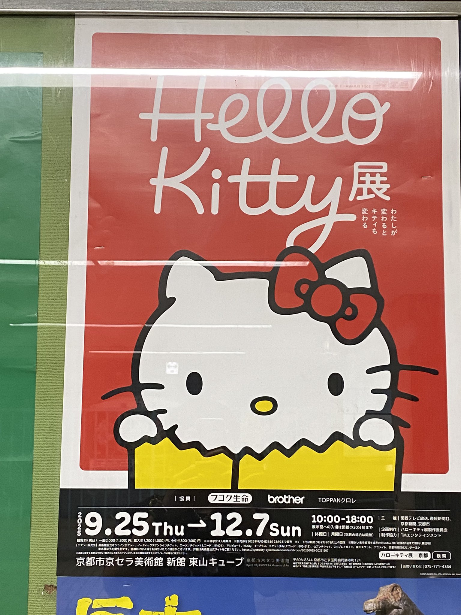 すがはら ゆうたとあのうさぎSHOP🍏🐰 on X: 