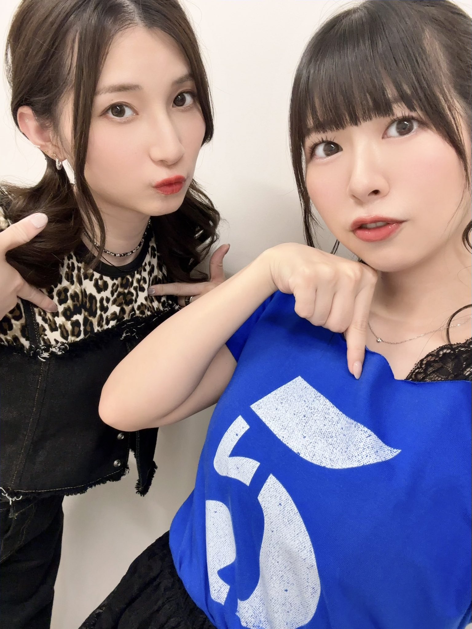芝崎典子 on X: 