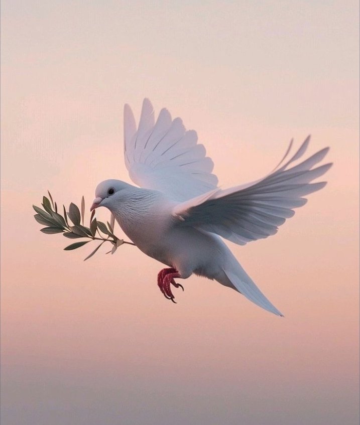 "No es posible mantener la paz usando la fuerza; solo puede conseguirse mediante la comprensión " Albert Einstein.
Que triste que la ambición y los radicalismos se impongan a la razón, que triste que  unos pocos coarten la libertad de muchos.
Más cultura y menos armas, es lo que