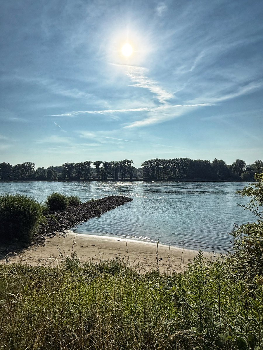 Running alongside Rhine river!❤️🏃‍♂️10k