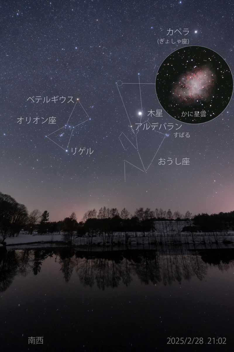 星の観察館「満天星」 on X: 