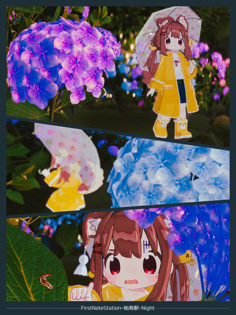 mayoinomorivrc's tweet image. 綺麗な紫陽花が咲いていたので
かたつむり探し。

#VRFNS    #まめひなた