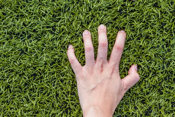 lisango99's tweet photo. #openseatouchgrass https://t.co/yZygwo789Y