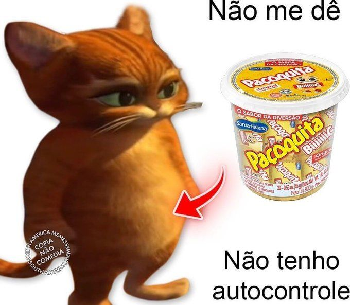 perfil dedicado a gatinhos e peitos (@odeiootaco) on Twitter photo 